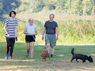 Family of 3 walking their two dogs outside in open field.